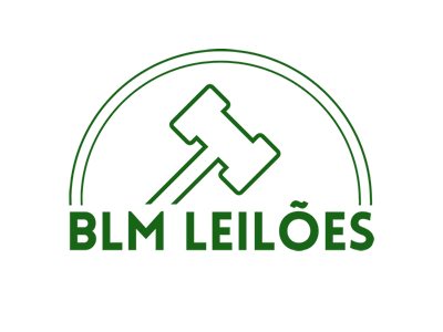 BLM Leilões